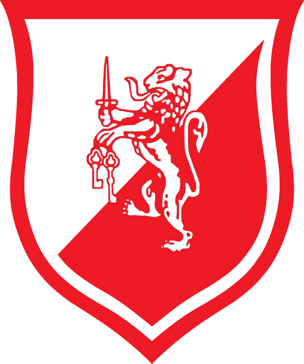 Associazione Sportiva Dilettantistica Orvietana Calcio